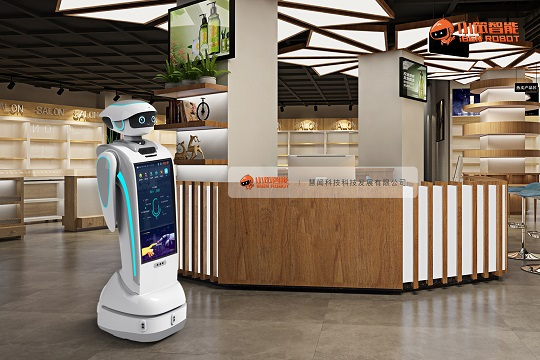 商場(chǎng)無人化 智能機(jī)器人如何挑起營(yíng)銷與銷售重任